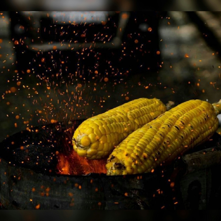 burning corn