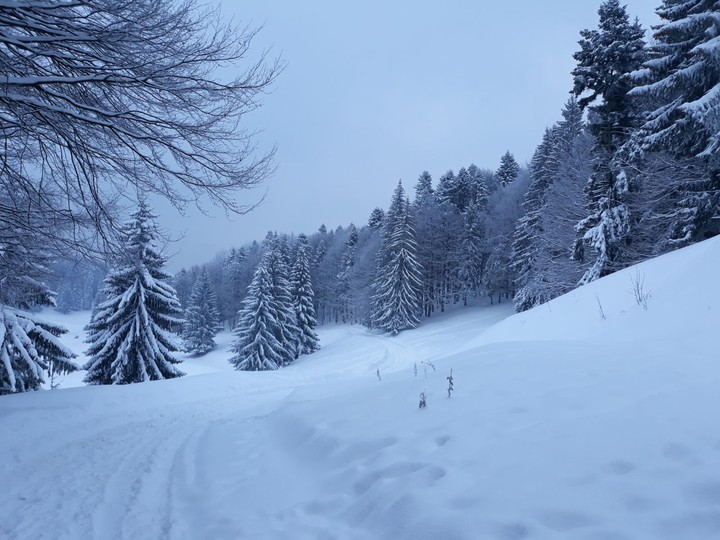 nature
