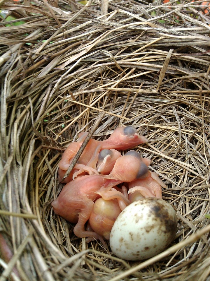 New life