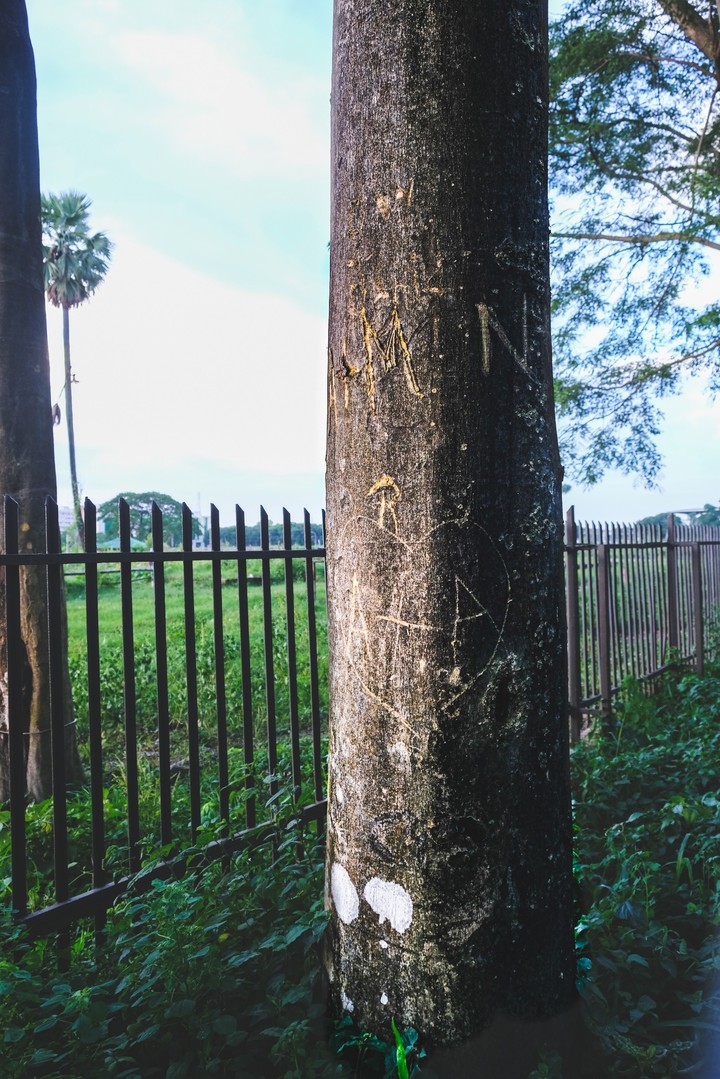 Vandalism aka chutiyas work...