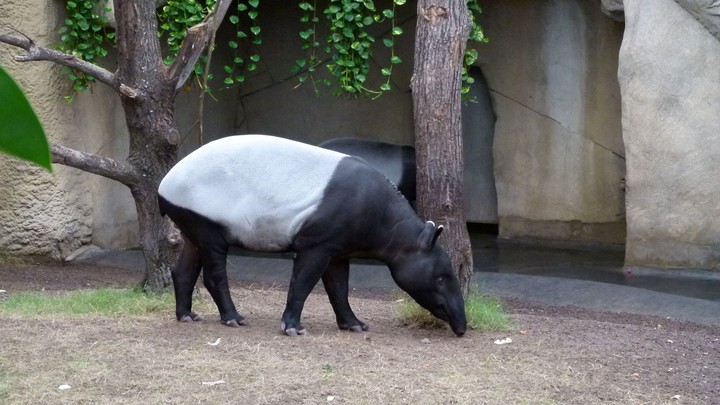 Zoo Leipzig 2011