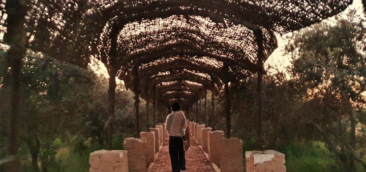 Nature Walk