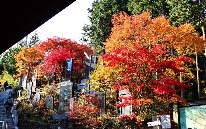 autumn,2018
