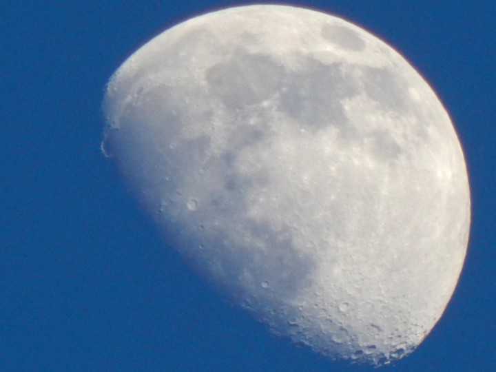 blue moon