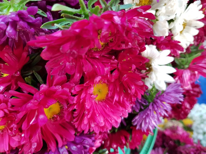 fresh flowers