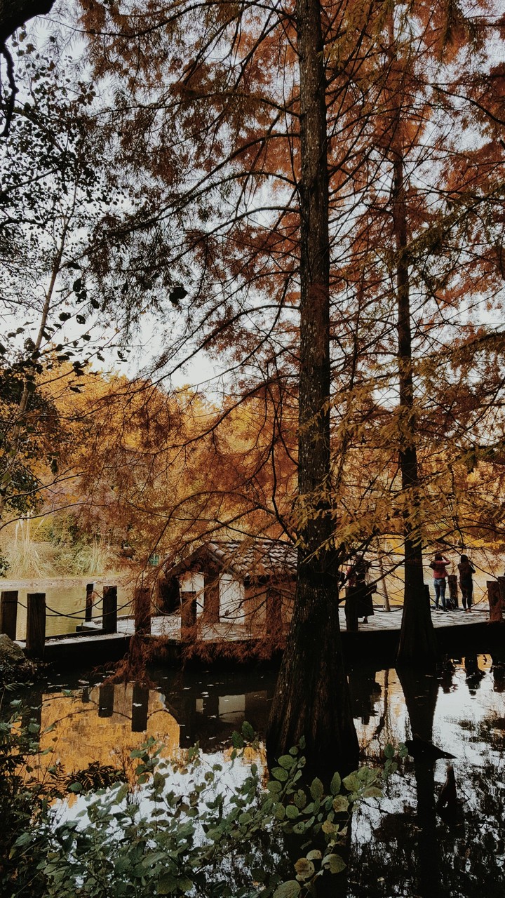 Huzur / Tranquility