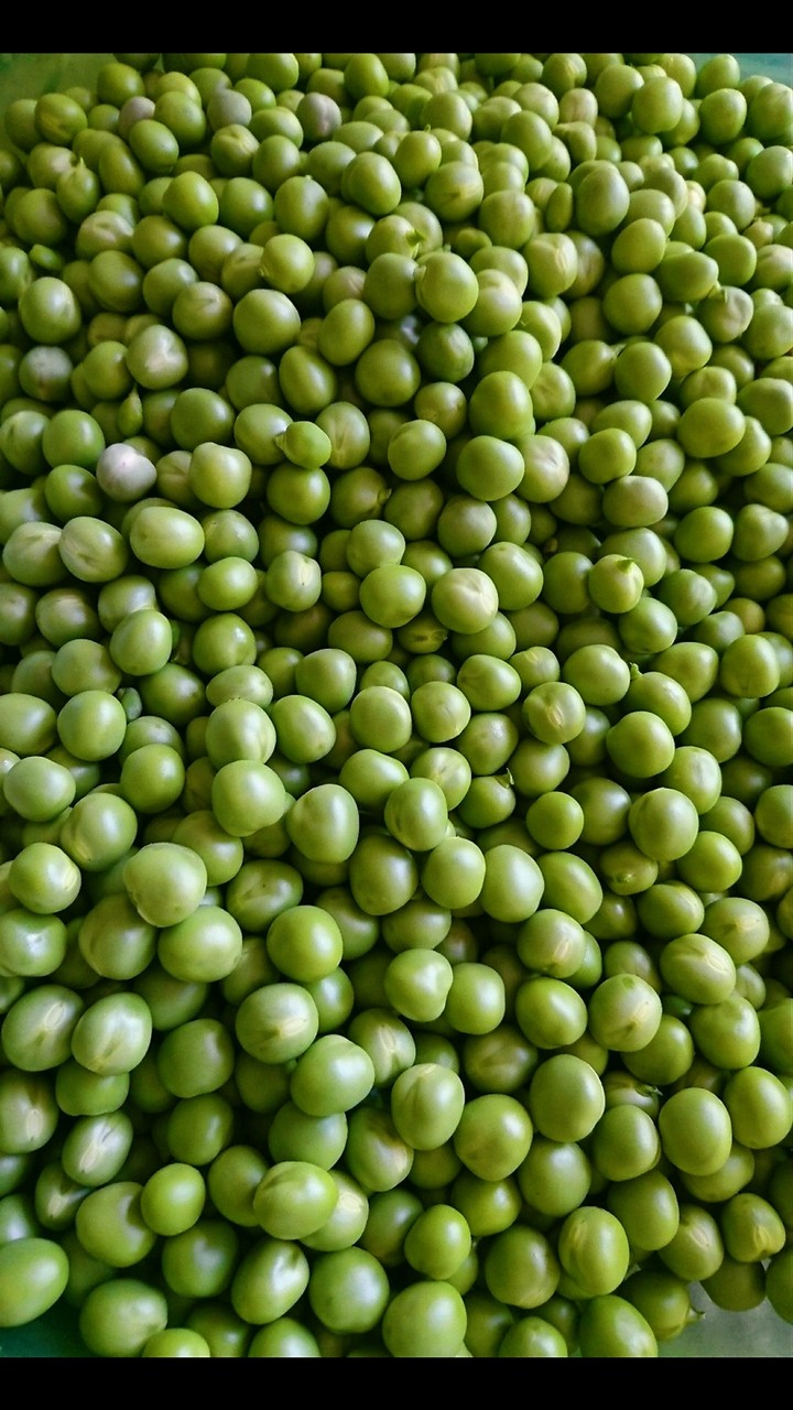 pea(bezelye)