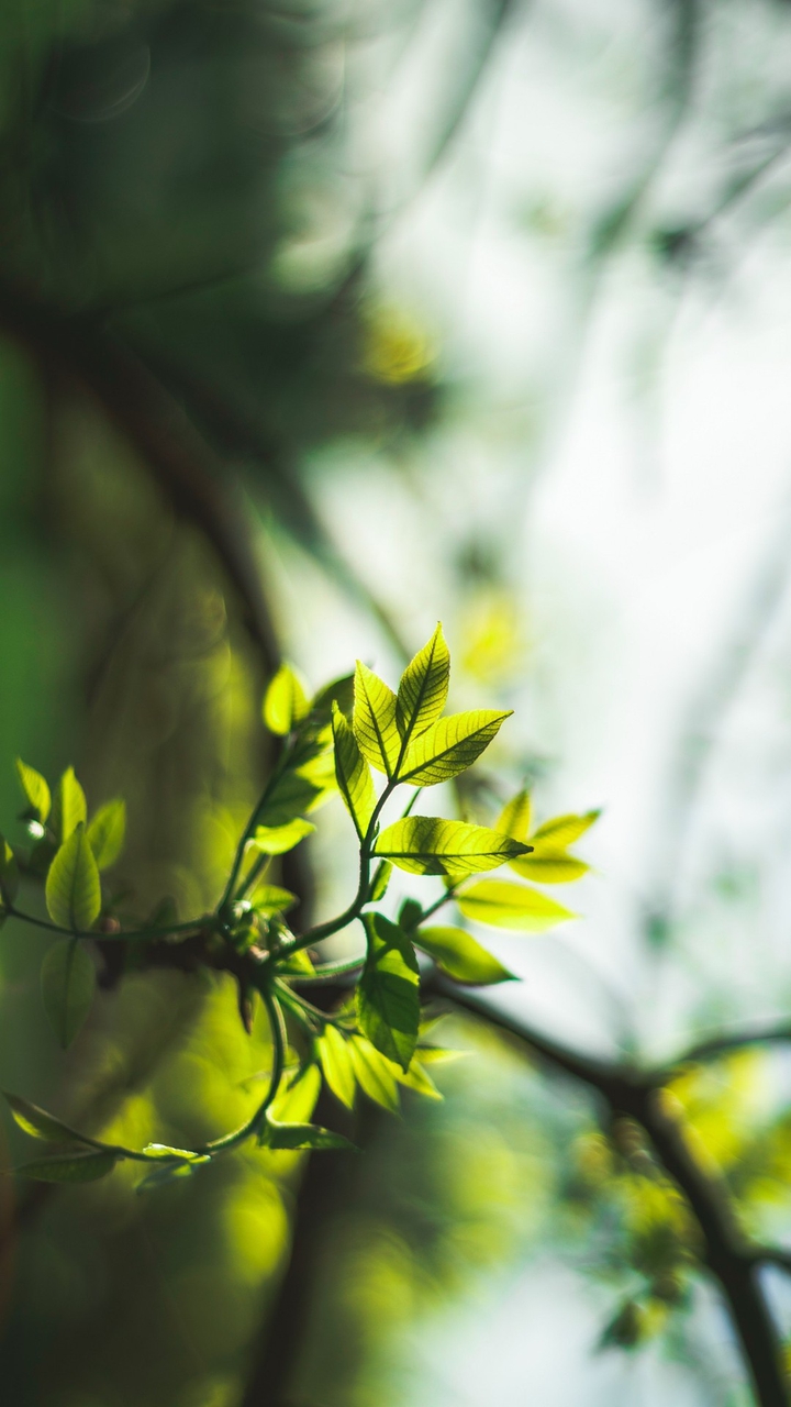 #green