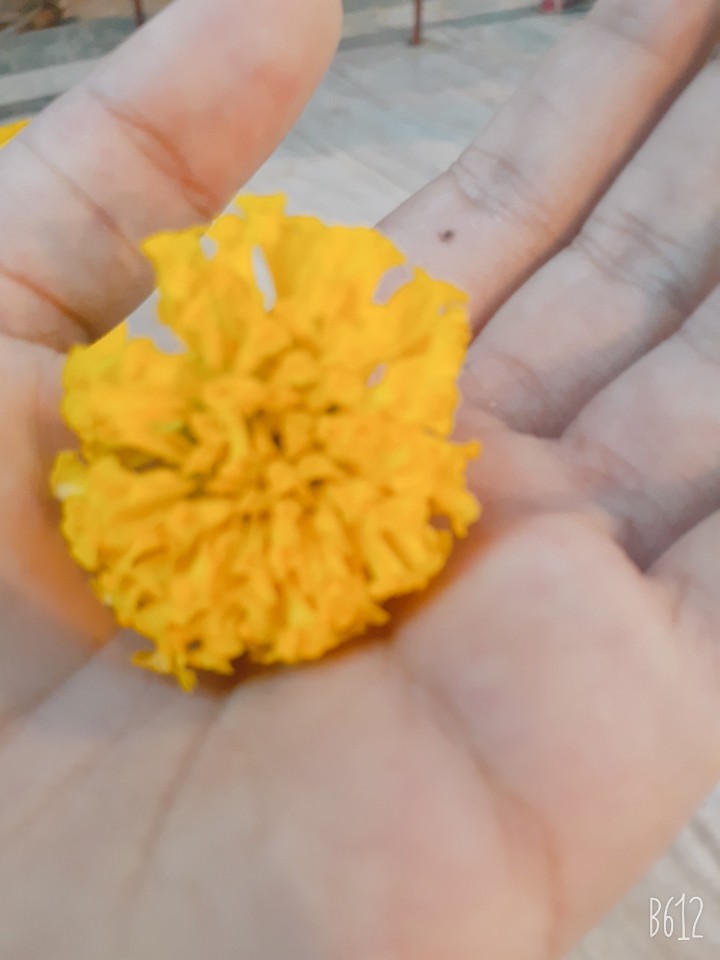 puja wish flower