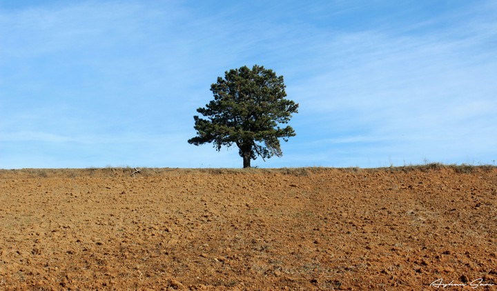 Alone