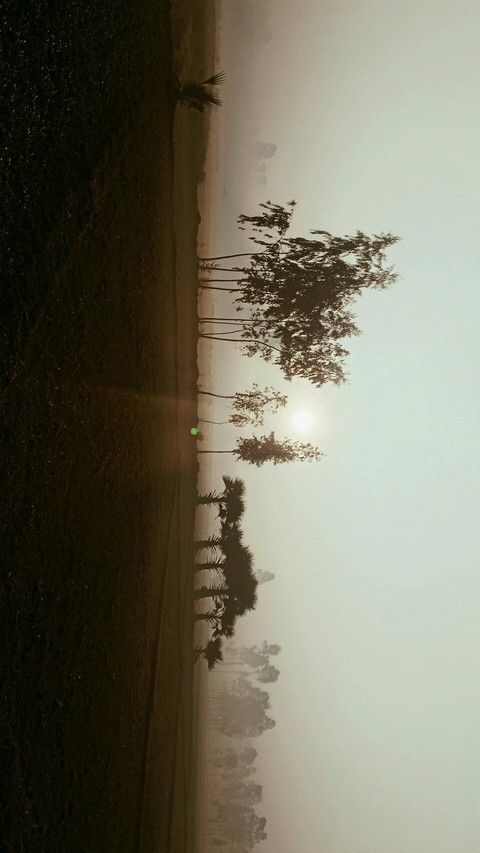 sfondi sky, morning