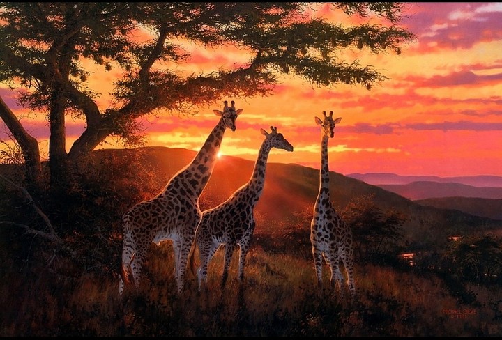 sunset