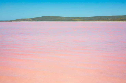 Pink water in Koyashskoe Lake, Crimea