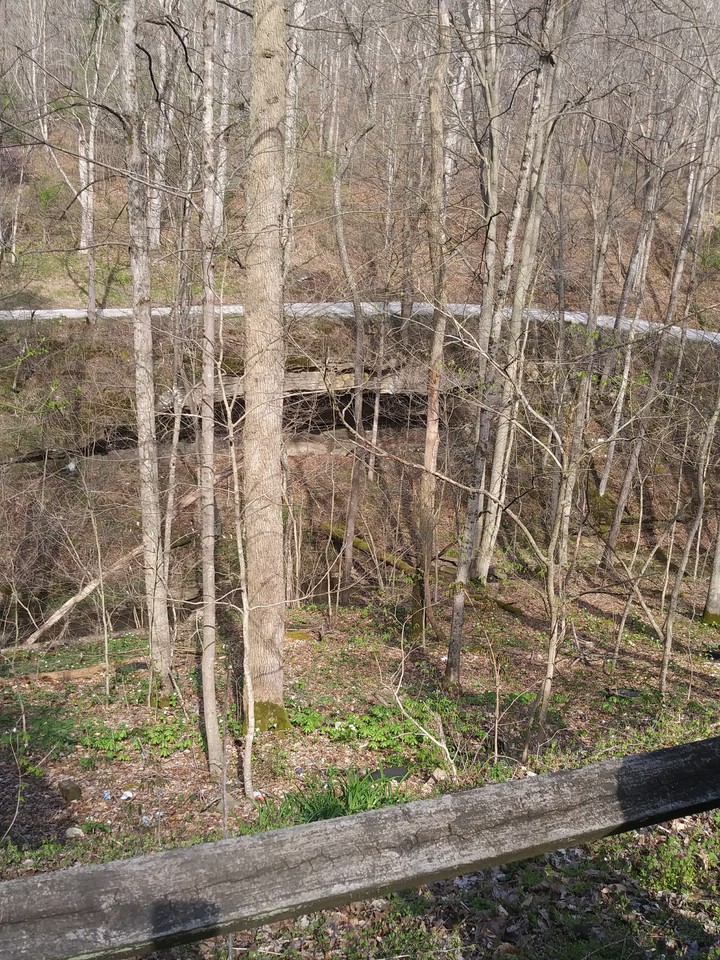 #woods