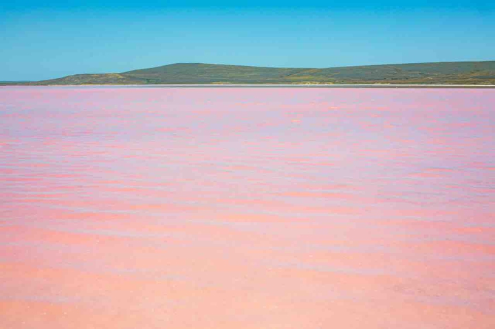 Pink water in Koyashskoe Lake, Crimea