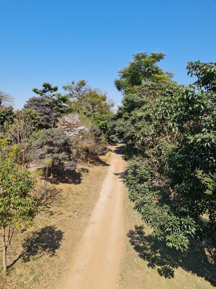 Caminho