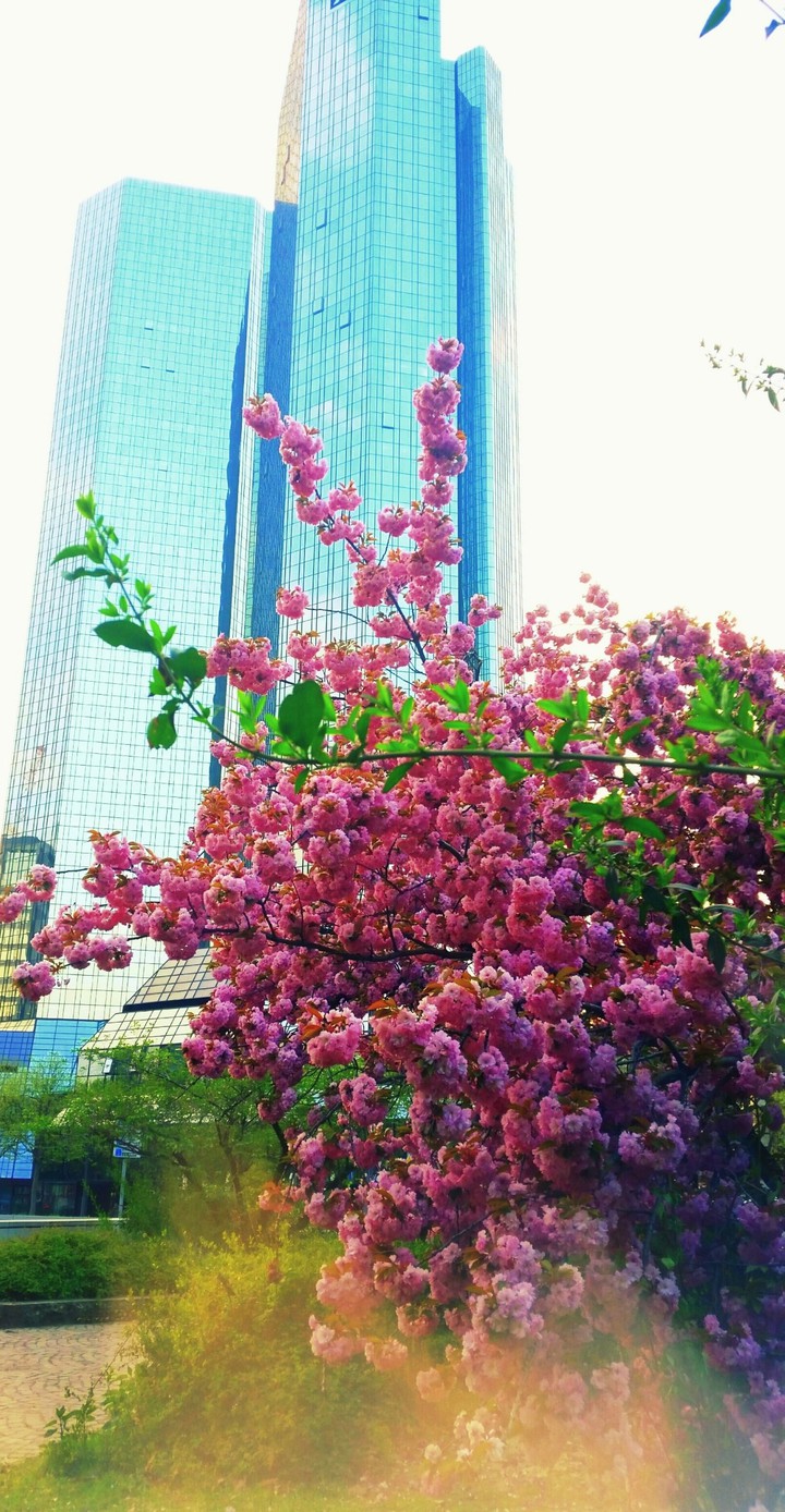 citylife frankfurt germany
