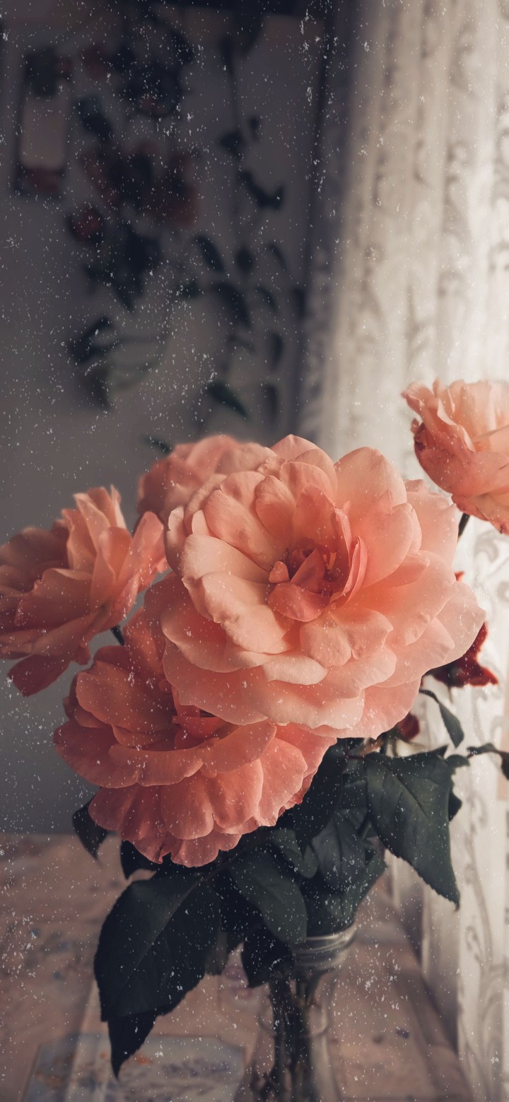 roses