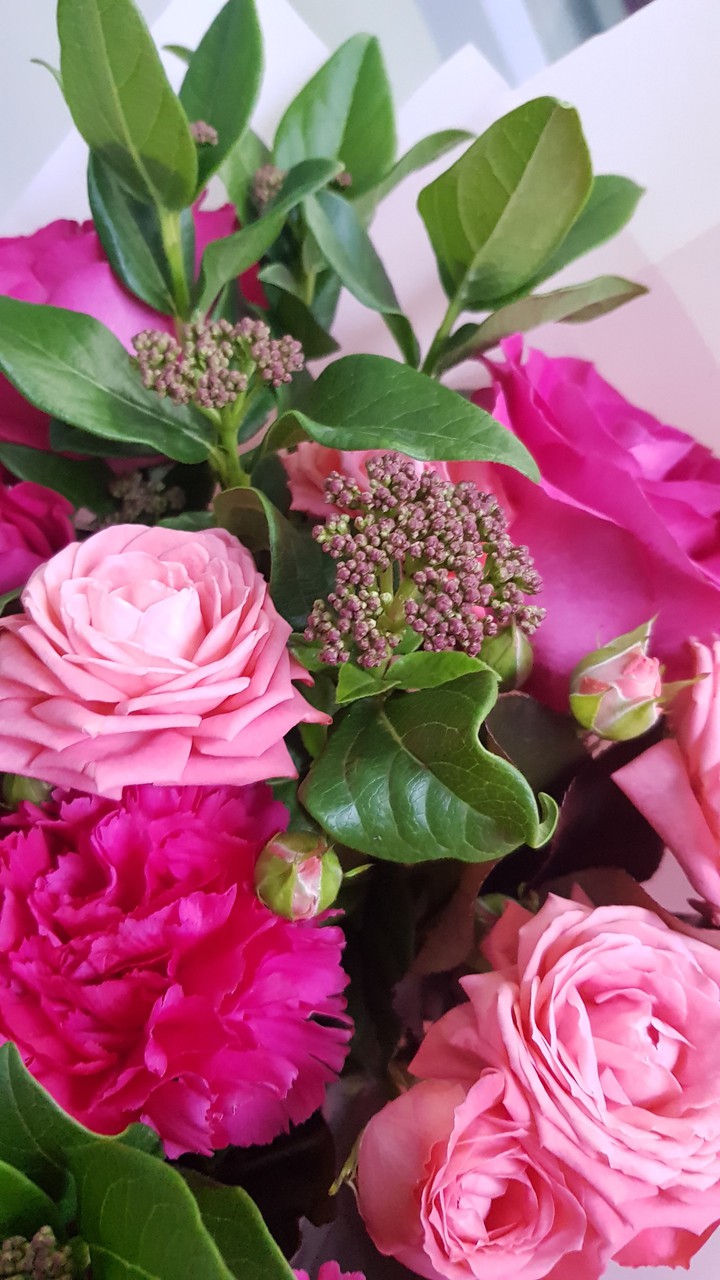 flowers