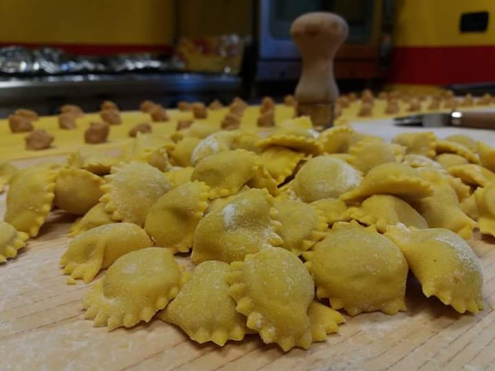 anolini