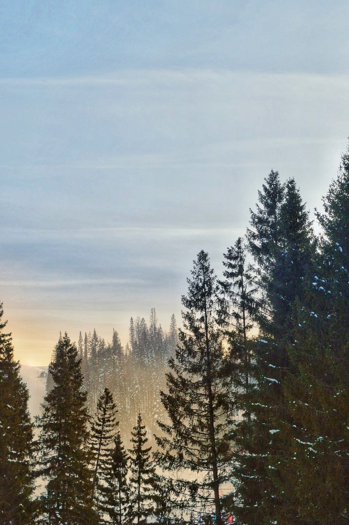 winter color
