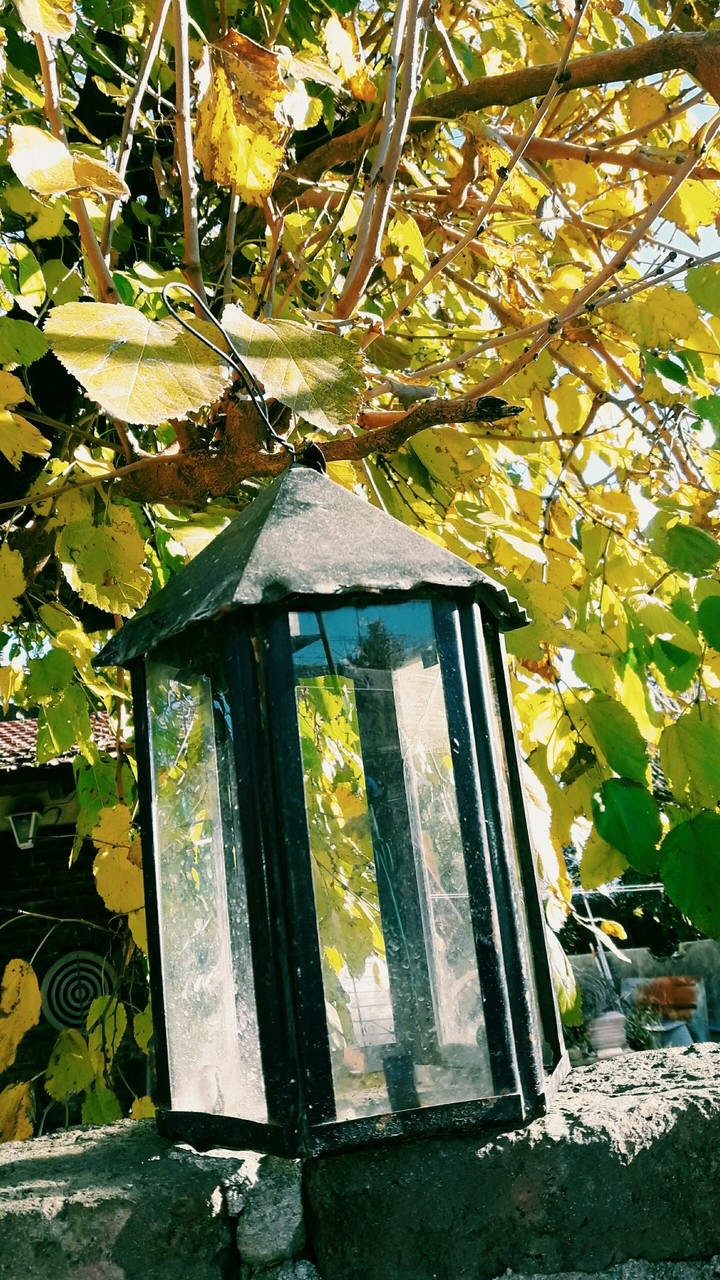 lamp