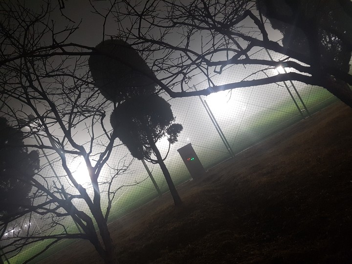 Foggy