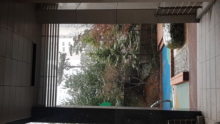 snow