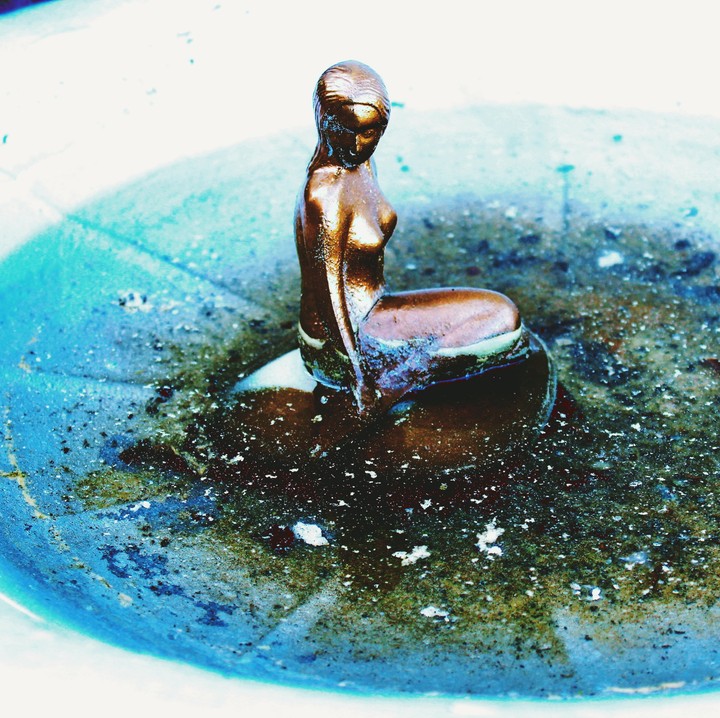 mermaid