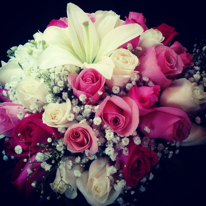 Flores