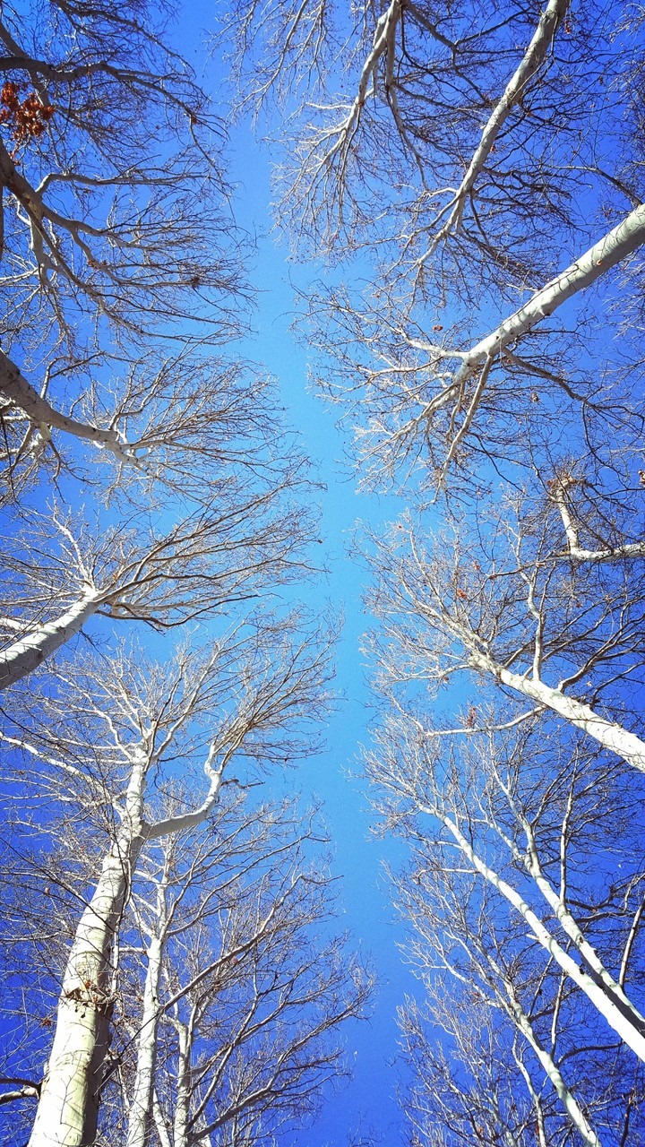 autumn