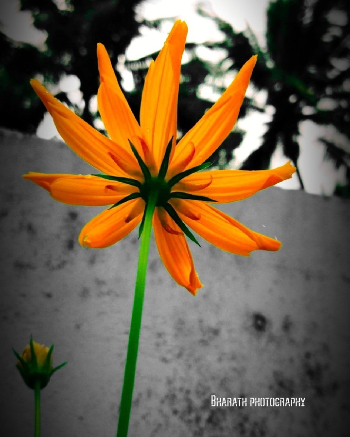 Photography ❤❤