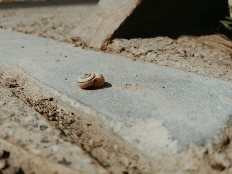 обои soil