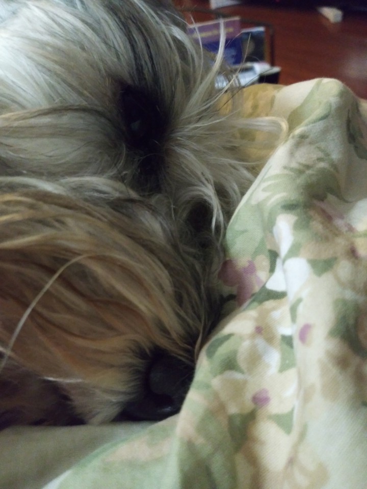 Beauty sleep