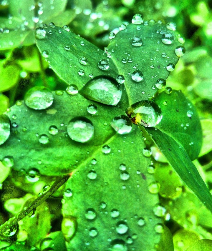 Green power