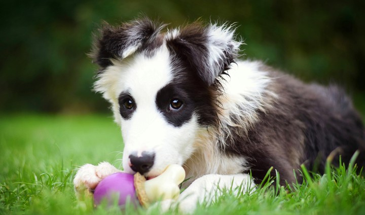 lovely picture...