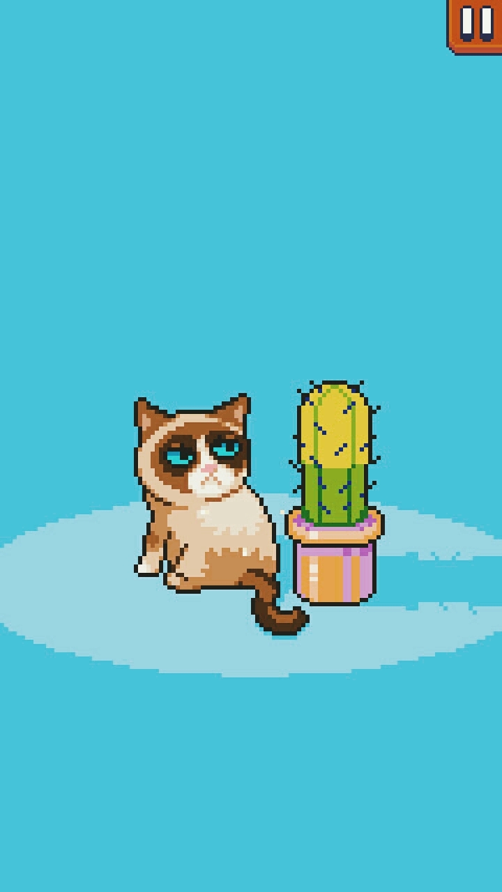 grumpy cat
