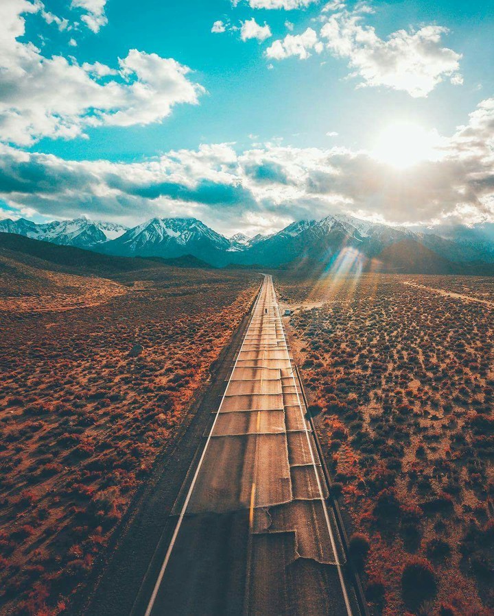 trip