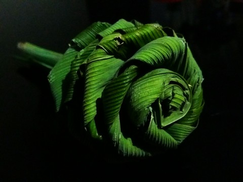 rose