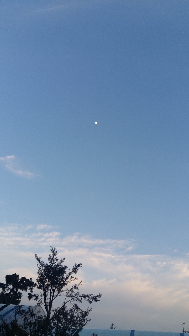달