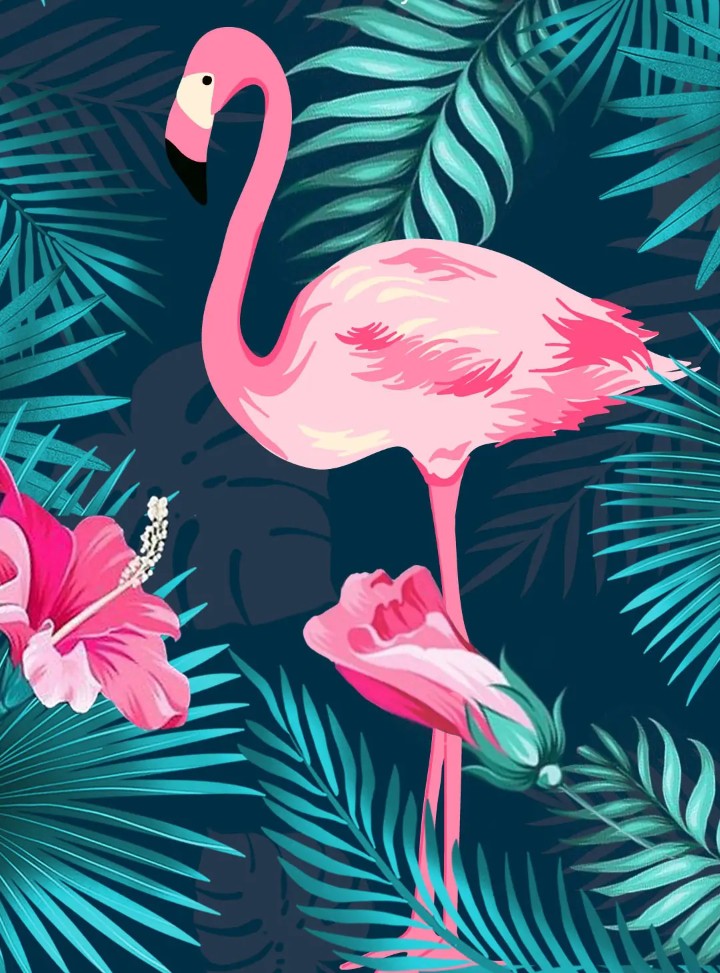 Flamingo