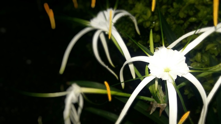 Random click....
