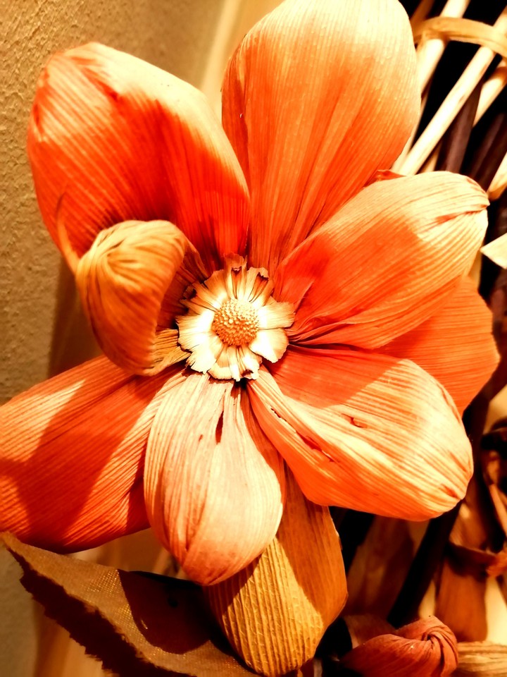 Dried flower
