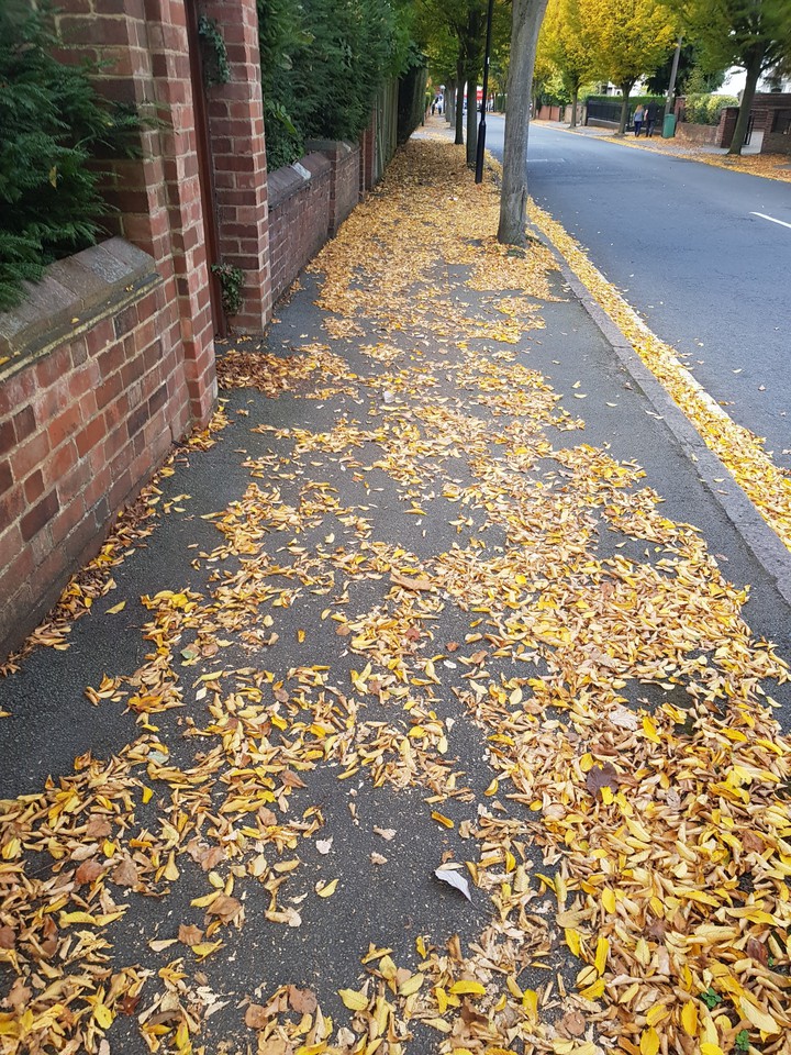 Fall in