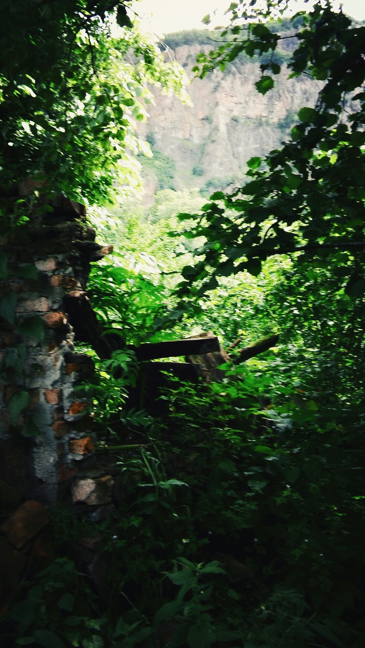 Dağ