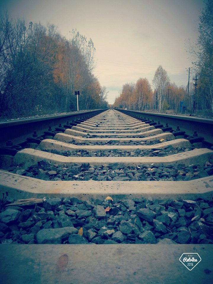 #жд#дорогадомой