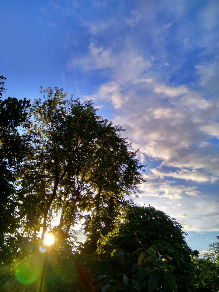 sunset.