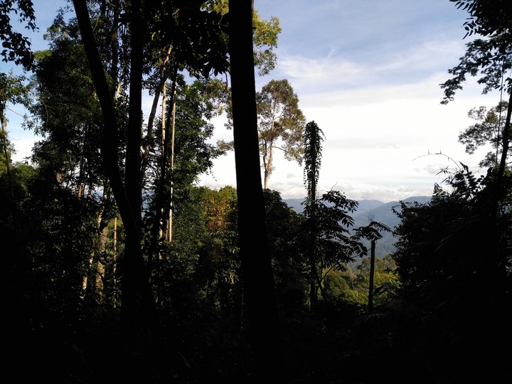 Bukit Kutu, Kuala Kubu Bharu