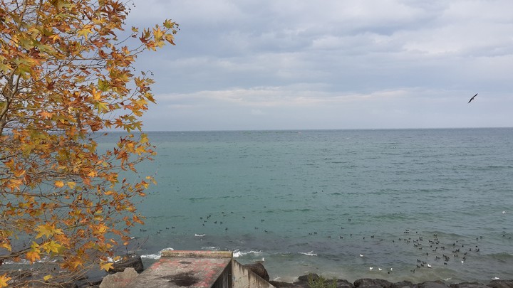 TRABZON