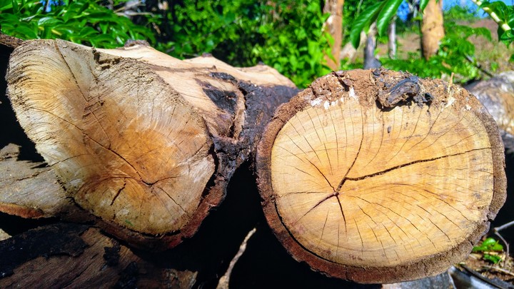 log